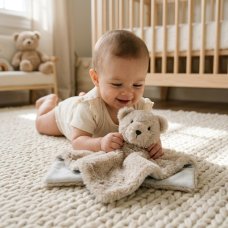 19C257: Baby Novelty Teddy Comforter